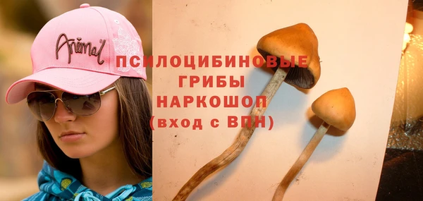мдпв Вязники