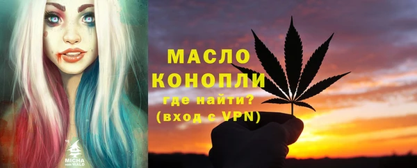 гидра Вяземский