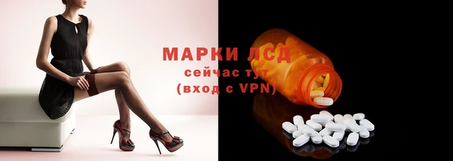 гидра Вяземский