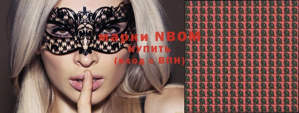 гидра Вяземский
