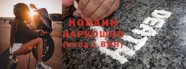 гидра Вяземский