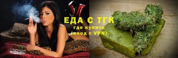гидра Вяземский