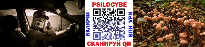 Псилоцибиновые грибы Cubensis  Орск 